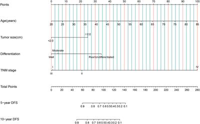 Clinical characteristics and prognostic factors of male breast cancer in China